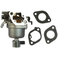 Carburetor for Briggs and Stratton 699807 (Fits )