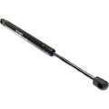 Lift Support for Chevrolet Impala (2006–2012) Trunk Lid Left & Right