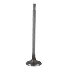 Intake Exhaust Valve Kit for Mini Cooper R56 R60 (2007–2016)