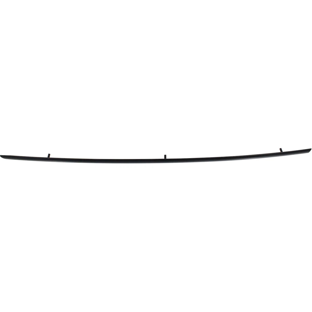 Door Molding and Beltlines for Ford (Passenger Right Side)
