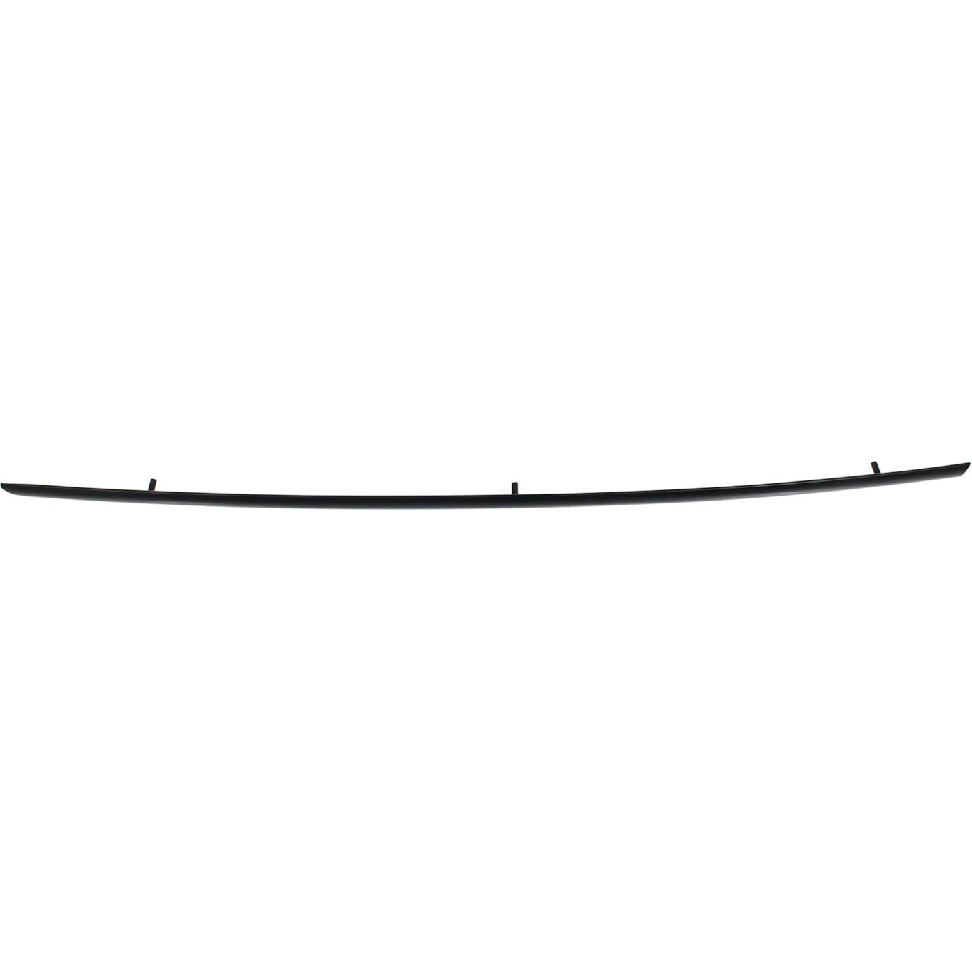 Door Molding and Beltlines for Ford (Passenger Right Side)