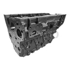 Cylinder Block Assembly 729907-01560 for Yanmar 4TNV98 (Komatsu 75-V)