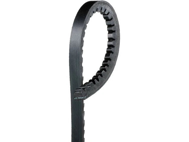 Accessory Drive Belt for Jaguar XKE 4.2L 1969 (QT596XJ)
