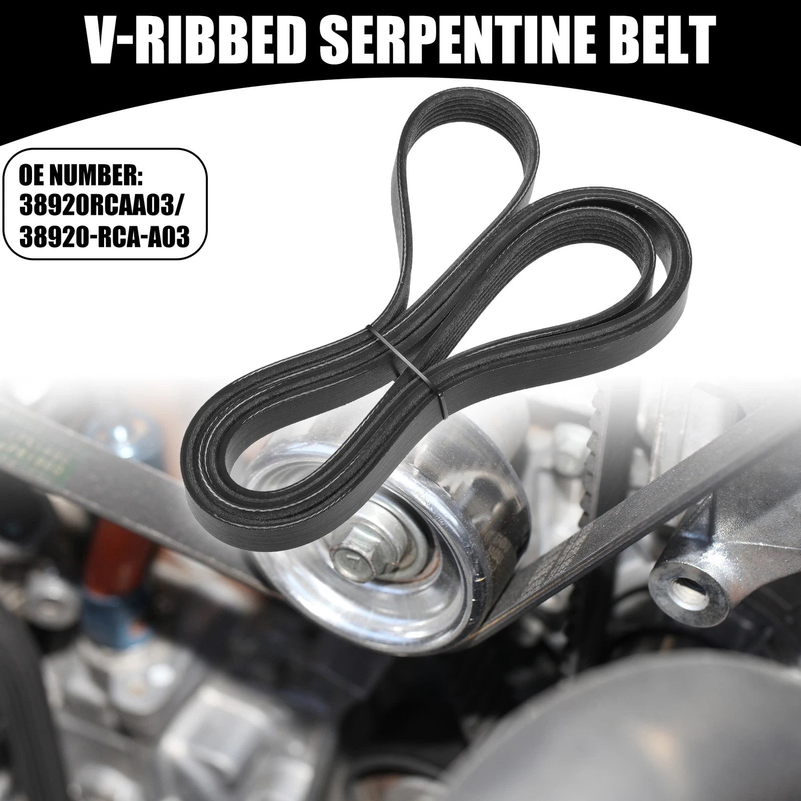 V-Ribbed Serpentine Belt for Honda Accord EX (2003–2007)