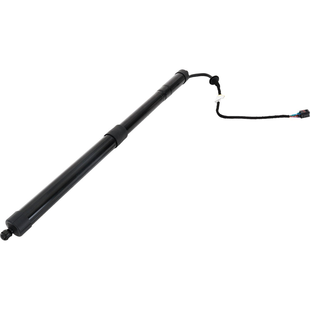 Liftgate Lift Supports for Nissan Rogue (2014–2020)