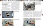 GM LS-Series Engines Complete Swap Manual for Various Models (2000-2023)