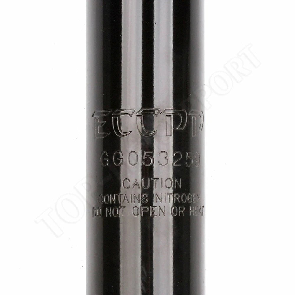 Rear Shocks & Struts for Dodge Dakota (1987–1996)