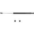 Lift Support for Nissan Maxima (1995–1999)