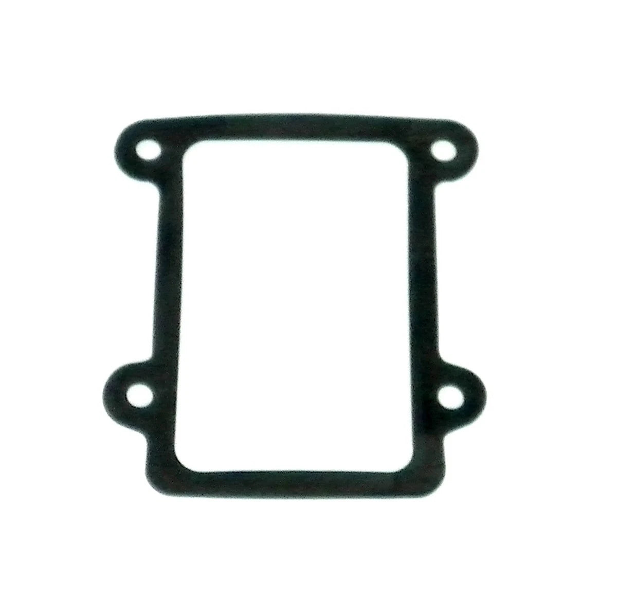 WSM Gasket for