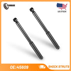 Set of 2 Rear Shocks Struts Absorbers for 2006–2011 Honda Civic