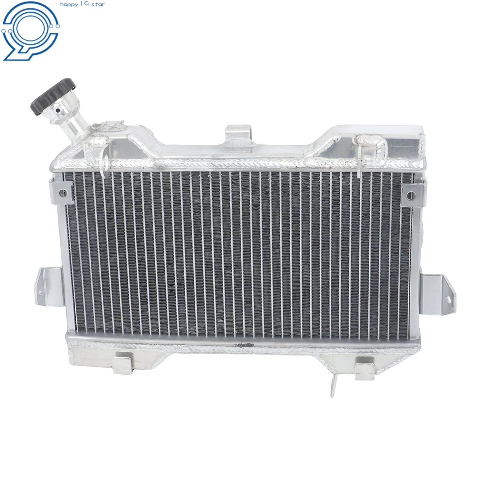 Aluminum Radiator for Suzuki LTR450 LT450R (2006–2009)