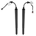 2X Rear Trunk Liftgate Struts for Hyundai Palisade (2020–2023) 81841S8100