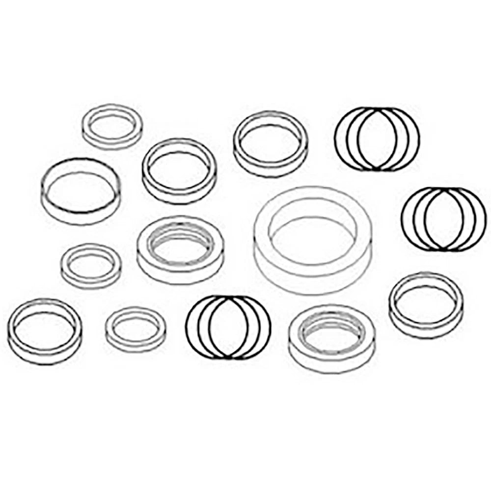 Lift Cylinder Seal Kit for Farmhand Loader F248-A F248-B F258B (1R40663)