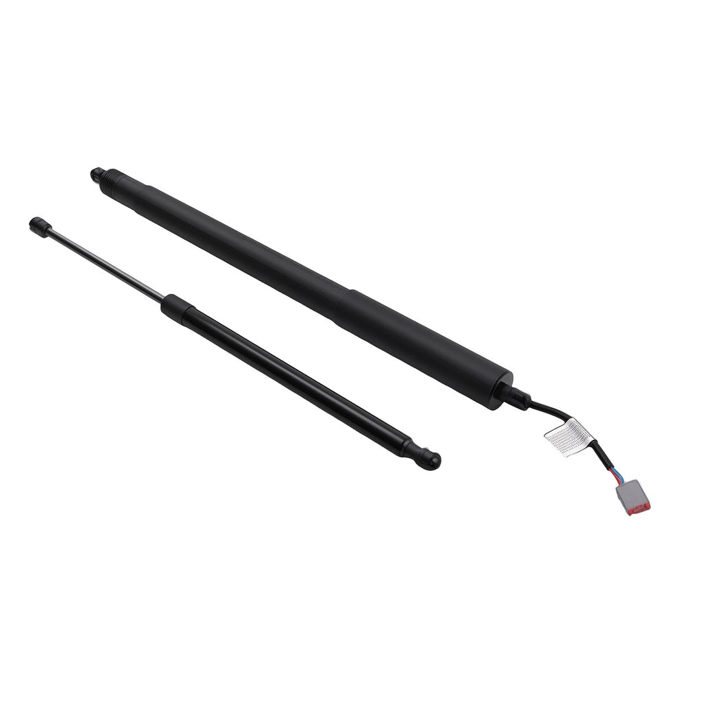 2X Liftgate Rear Support for Ford Edge Lincoln MKX (2007–2018)