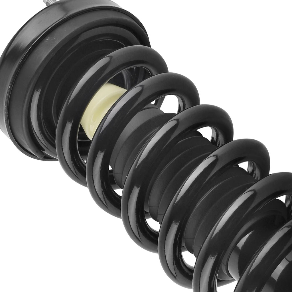 Front Quick Complete Strut-Coil Spring for Ford F-150 (2009–2013) 171141