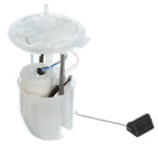 Delphi FG1752 Fuel Pump Module Assembly for Ford Taurus/Mercury Sable (2008–2009)