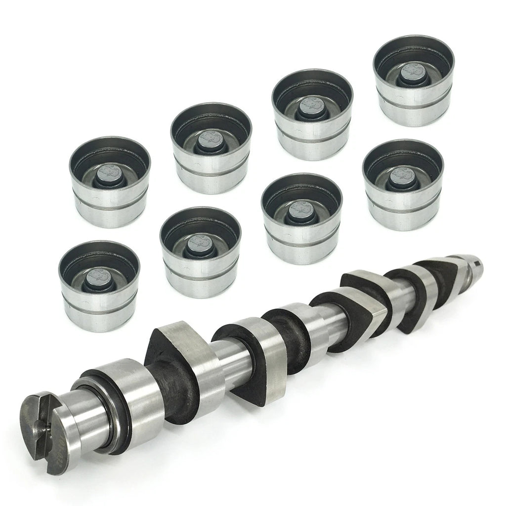 Tdi Camshaft & Lifters Kit for VW Jetta Golf Beetle ALH (1999–2006)