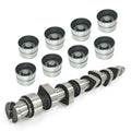 Tdi Camshaft & Lifters Kit for VW Jetta Golf Beetle ALH (1999–2006)
