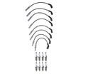 Denso Wire Set & 8 U-Groove Spark Plugs Kit for Dodge Durango (2000–2009)