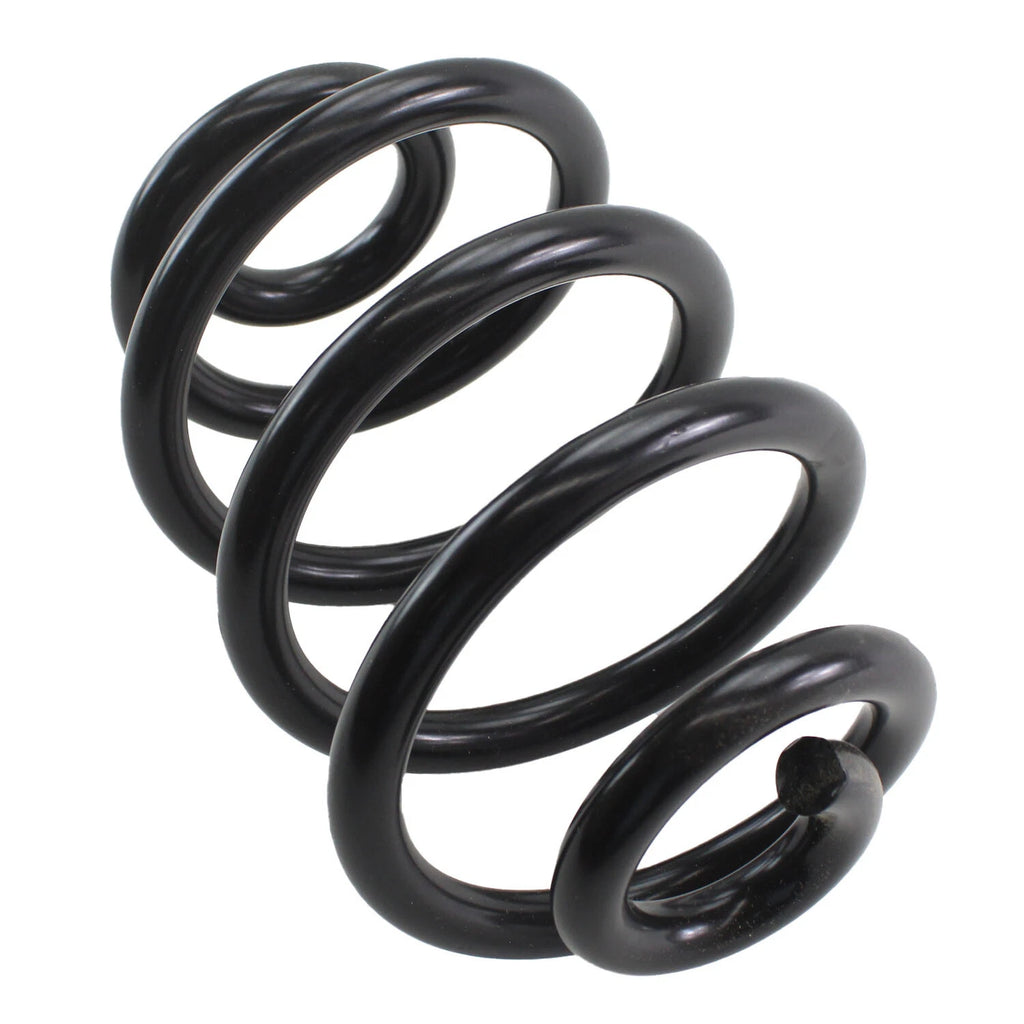 Lesjofors Rear Coil Spring 4208445 for BMW E46 323Ci 325Ci 325Xi 330Ci (1998–2006)