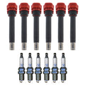 Set of 6 Ignition Coils & NGK Laser Platinum Spark Plugs for Audi A6 Q5 (2005–2020)