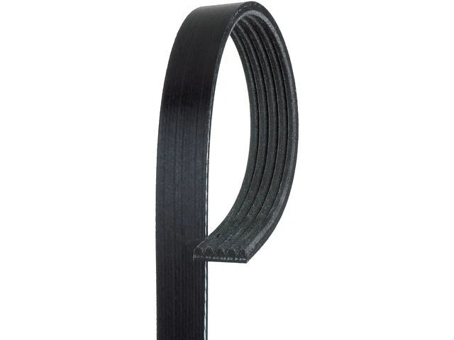 Multi Rib Belt for Jaguar XJS (1993–1996) YV915YH
