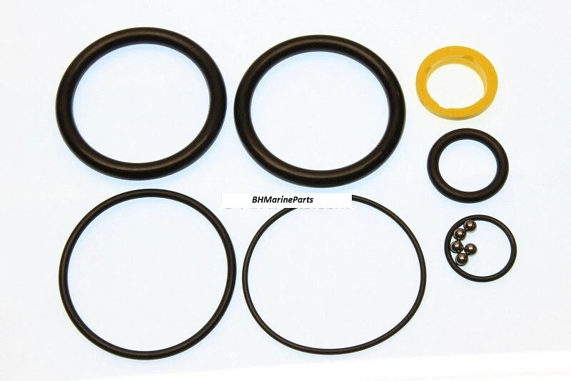 Cylinder Rebuild Kit for Mercury/Mariner-Force (1988–2006) Replaces: 813432A