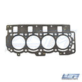 WSM Gasket for