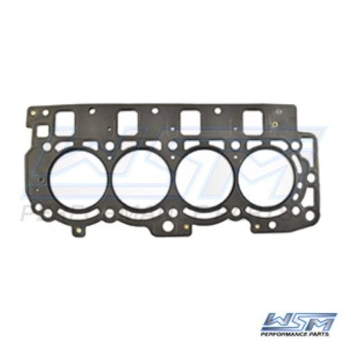WSM Gasket for