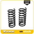 2X Rear Coil Springs for Pontiac Torrent, Chevrolet Equinox (2005–2006)