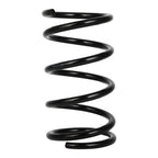 Set of 2 Rear Coil Springs for Toyota RAV4 (2001–2005)