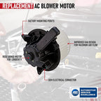 Rear Right Window Regulator with Motor for Isuzu Ascender Buick Rainier (2003–2008)