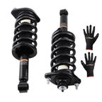 2X Rear Complete Shocks Struts Absorber Coil Spring for Honda CR-V (2012–2016)