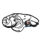 Standalone Wiring Harness for LS Swaps DBC 4.8 5.3 6.0 (1999-2006)