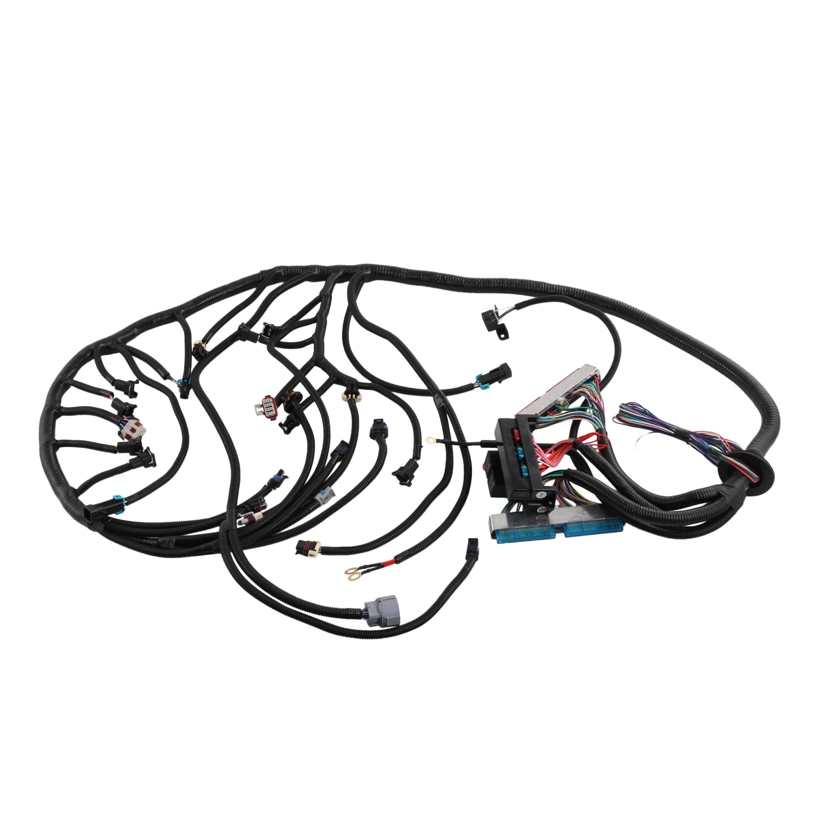 Standalone Wiring Harness for LS Swaps DBC 4.8 5.3 6.0 (1999-2006)