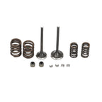 Intake Exhaust Valve Spring Seal Kit for Yamaha YFM250 YTM225 XT225 TTR225 (1990–2006)
