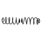 Heavy Duty Rear Coil Spring Kit for Buick (4412103)