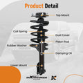 Front Strut w/ Coil Spring Assembly for Hyundai Elantra (2000–2006) 171405