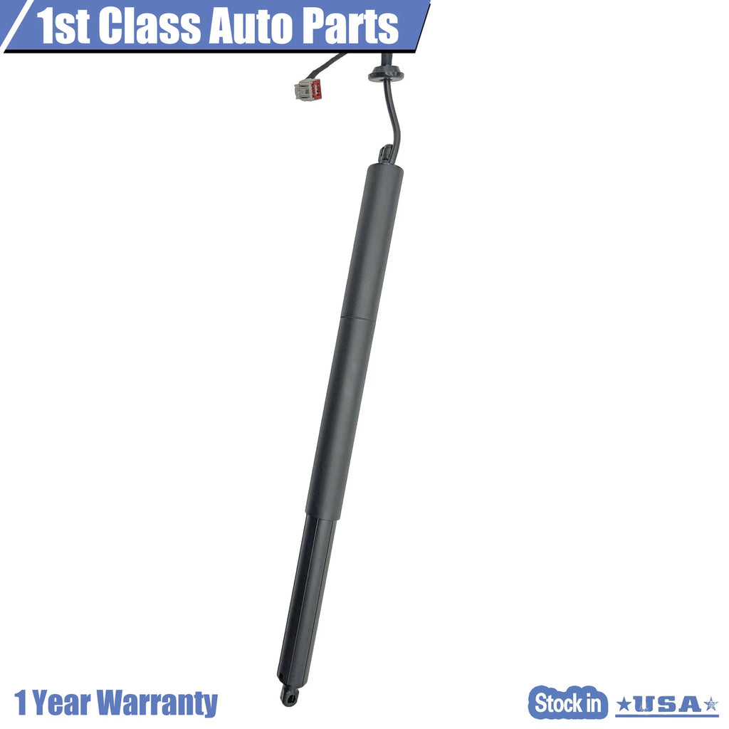 Power Hatch Lift Supports for Ford Explorer (2016–2019) - Rear Left
