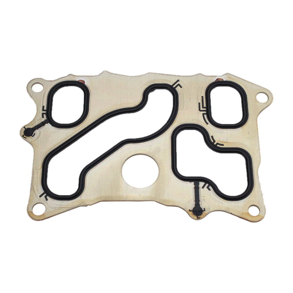 Engine Oil Cooler Gasket for Elring (534.953)