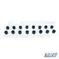 WSM Valve Stem Seal Pack of 16 for 2.5 - 350 Hp (1000-1900) - 010-053K