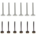 Set of 12 Intake & Exhaust Valves for Ford Cougar Mustang Thunderbird V6 (N/A)