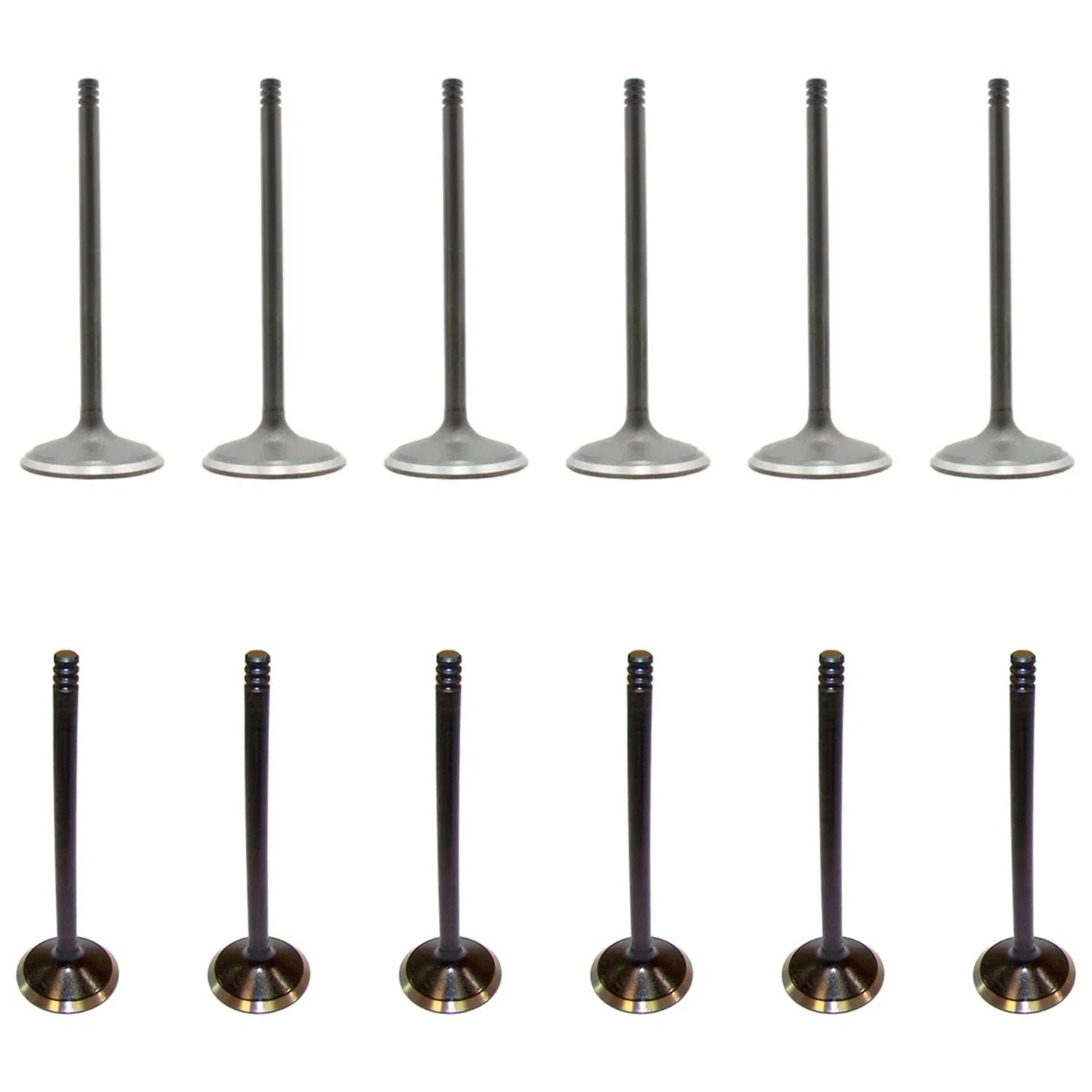 Set of 12 Intake & Exhaust Valves for Ford Cougar Mustang Thunderbird V6 (N/A)