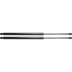 Lift Support for Ford Freestar (2004–2007) Rear Driver and Passenger Side