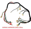 Quad Wiring Harness for Chinese 200 250 300cc Electric Start (Loncin Zongshen Ducar)