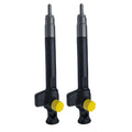 Fuel Injector Set of 2 for Citroen Peugeot 2.2 Diesel (2000–2007) 9824388280