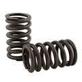 Valve Spring for AGCO R-3900276