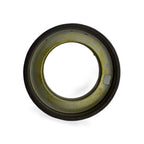 Eccentric Shaft Gear Ring for Ford Kuga Mondeo Focus (2012–2020)