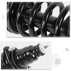 Complete Rear Left Right Struts Assembly w/Coil Springs for Honda Element (2003–2011)