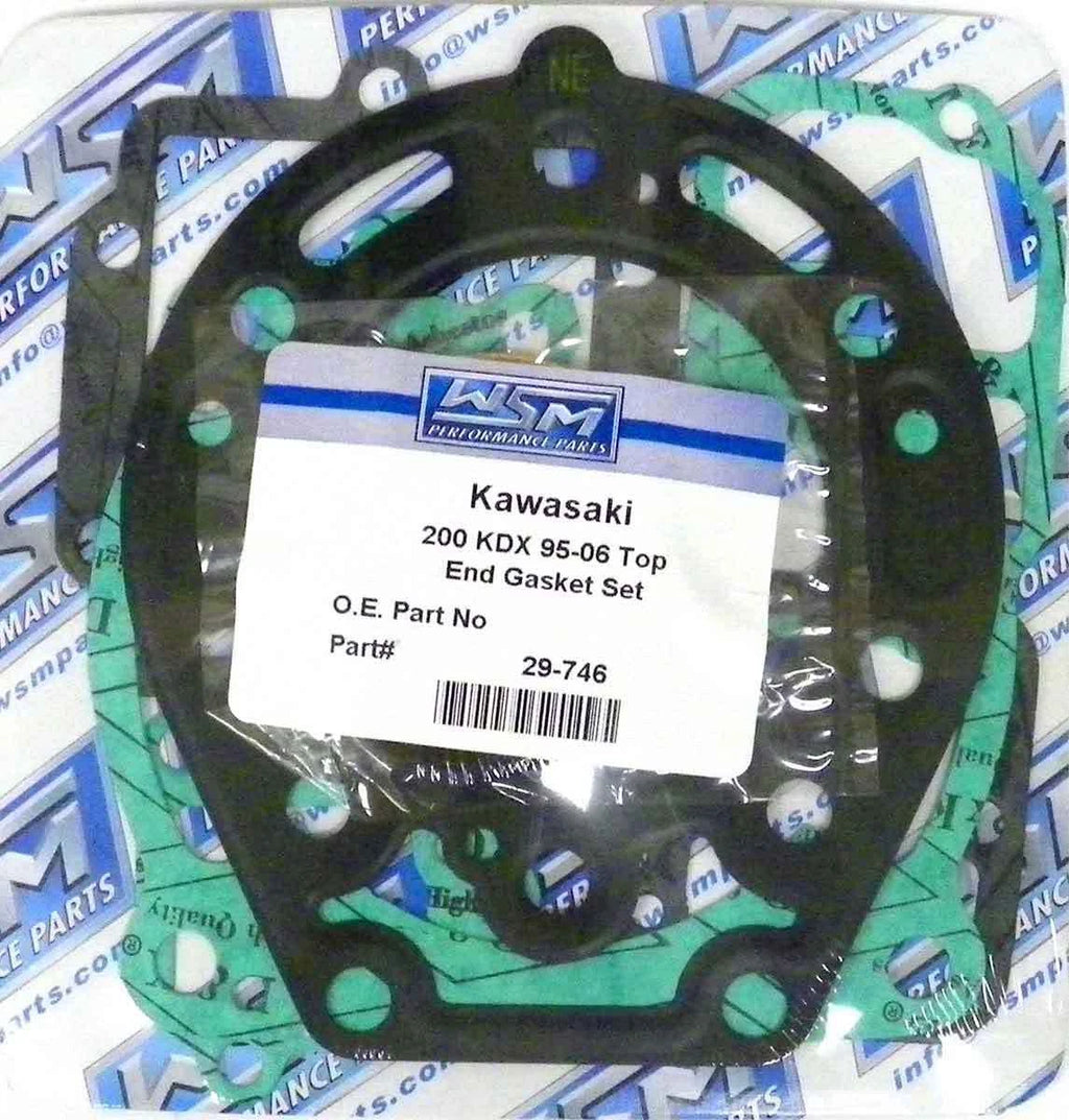Gasket Kit for WSM